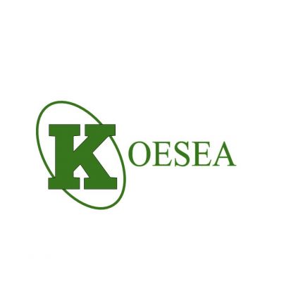 Logotipo de Koesea Estrichbau