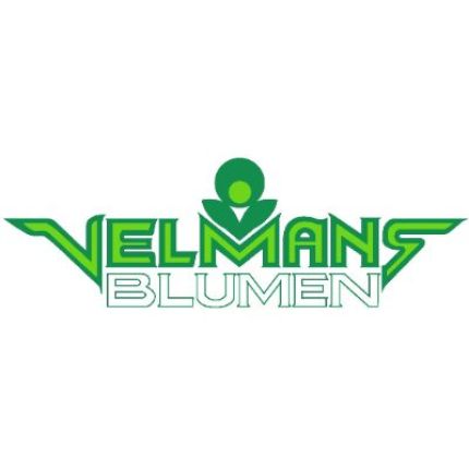 Logo from Blumen Velmans  Inh. Kirill Smirnov