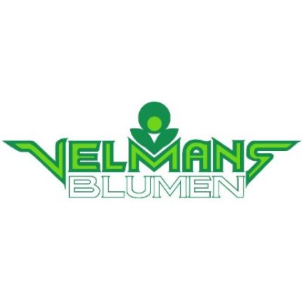 Logo de Blumen Velmans  Inh. Kirill Smirnov