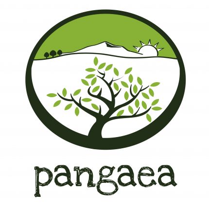 Logótipo de Pangaea Olivenöl aus Griechenland
