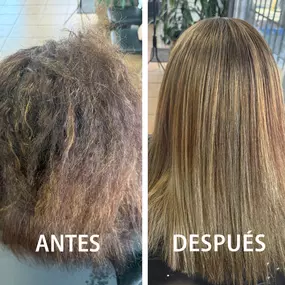Helen 2008 Barber Shop/beauty Salon-tratamientos para el cabello