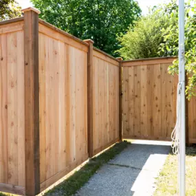 Bild von Rare Bears Fencing