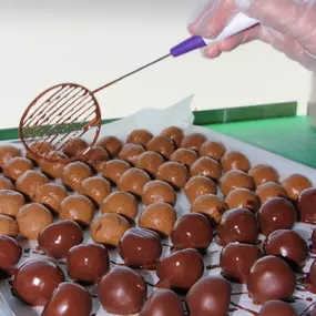 Bild von Fresh Monkee - La Costa