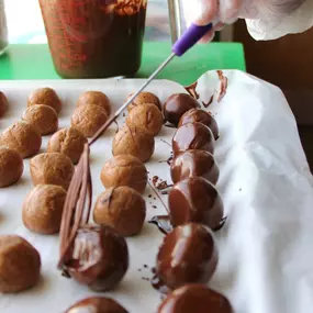 Bild von Fresh Monkee - La Costa