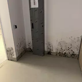 Bild von Austrocknungstechnik Gilles