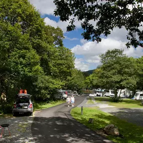 Bild von Coniston Park Coppice Experience Freedom Glamping