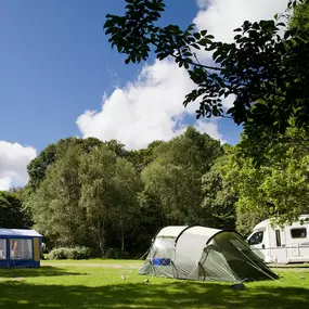 Bild von Coniston Park Coppice Experience Freedom Glamping