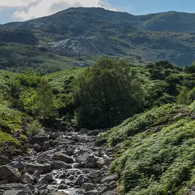Bild von Coniston Park Coppice Experience Freedom Glamping