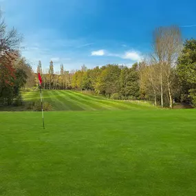 Tinsley Park Golf Course, a historic municipal course nestled in Sheffield, England, offers a diverse golfing experience. Established in 1906, this 6,336-yard, par-72 course features a captivating array of holes designed to challenge golfers of all skill levels.