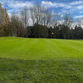 Tinsley Park Golf Course, a historic municipal course nestled in Sheffield, England, offers a diverse golfing experience. Established in 1906, this 6,336-yard, par-72 course features a captivating array of holes designed to challenge golfers of all skill levels.