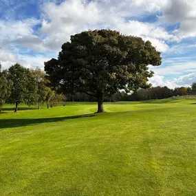 Tinsley Park Golf Course, a historic municipal course nestled in Sheffield, England, offers a diverse golfing experience. Established in 1906, this 6,336-yard, par-72 course features a captivating array of holes designed to challenge golfers of all skill levels.