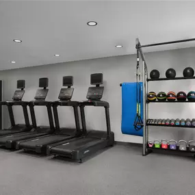 Health club  fitness center  gym