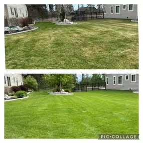 Before and after fertilization and lawn mowing.