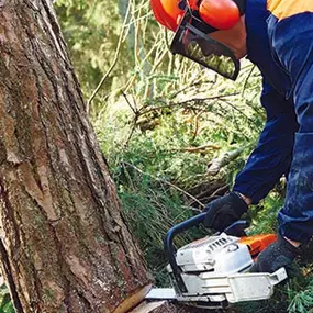 Bild von Huffstetler Tree & Lawn Services Inc.
