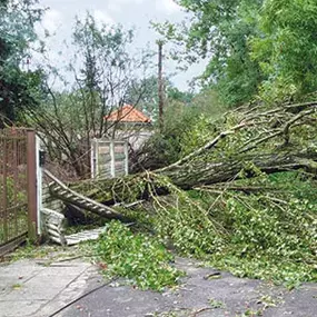 Bild von Huffstetler Tree & Lawn Services Inc.