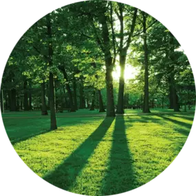 Bild von Huffstetler Tree & Lawn Services Inc.