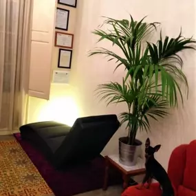 Bild von Eugenio Andrés Gualini, Psicólogo