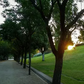 Bild von Hacia la Libertad