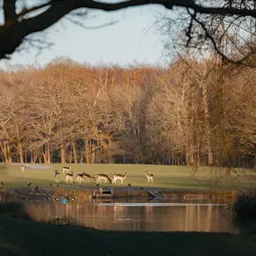 Bild von Highgrove - David Wilson Homes