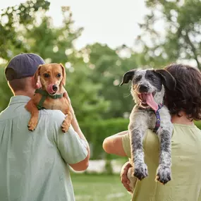 Bild von South Towne Veterinary Hospital