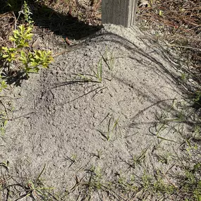 Bild von Stokes Mosquito and Pest Services