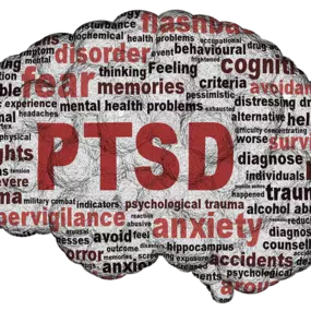 Bild von Know Your Own Mind