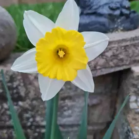 Bild von Know Your Own Mind