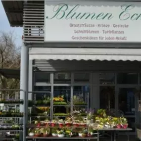 Bild von Blumen Eck