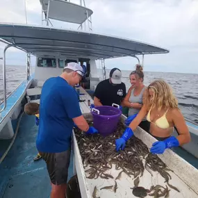 Bild von Risky Business Shrimping & Crabbing Charters