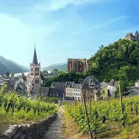 Bild von Bacchus Holiday Homes