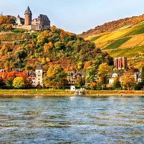 Bild von Bacchus Holiday Homes