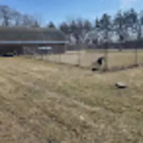 Bild von Woodbine Hill Kennel