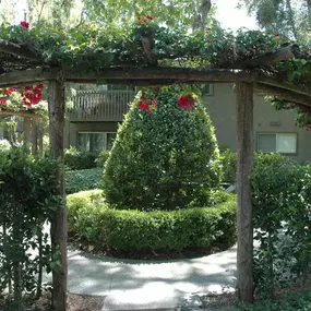 a christmas tree in a garden under a pergola