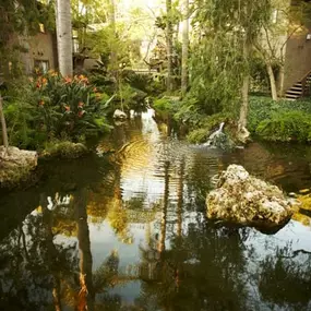 a koi pond in the courtyard of an apartment building