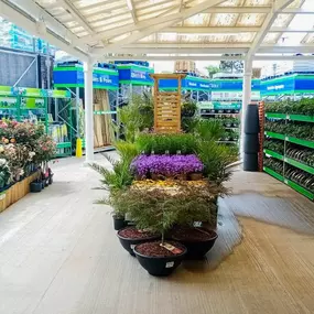 Bild von B&M Home Store with Garden Centre