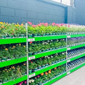 Bild von B&M Home Store with Garden Centre