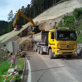 Auer GmbH Int. Transporte - Erdbau
