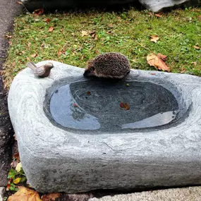 Bild von Bühler Grabmale - Natursteine