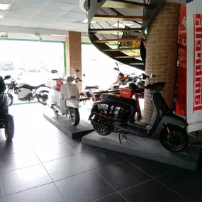 Bild von MOTOPREALPINA SRL