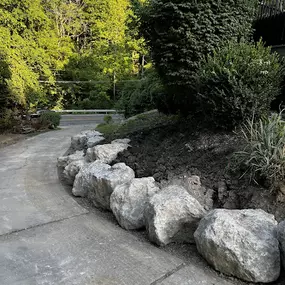 Bild von Go Native Bio Pools and Landscape