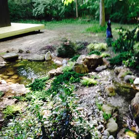 Bild von Go Native Bio Pools and Landscape