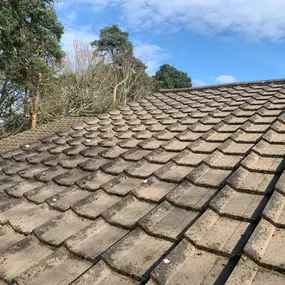 Bild von Hi-lite Roof and Gutter Maintenance Ltd