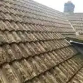 Bild von Hi-lite Roof and Gutter Maintenance Ltd