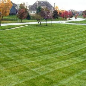 Lawn Mowing