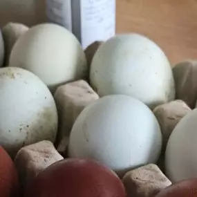 Bild von Willow Farm Poultry