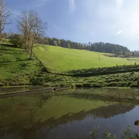 Bild von Freizeitanlage Karl-Wirt