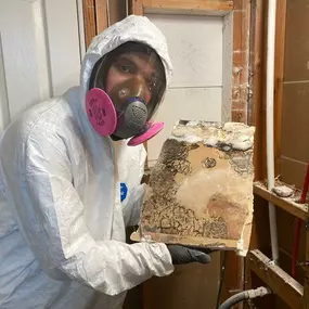 Bild von Dry County Restoration, LLC