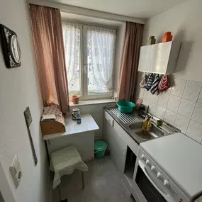 Bild von Bären Entrümpelung