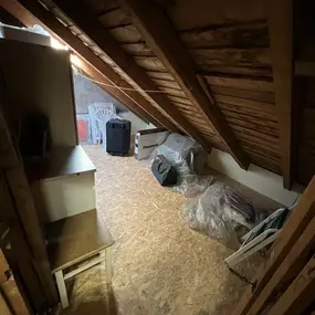 Bild von Bären Entrümpelung
