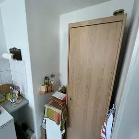 Bild von Bären Entrümpelung